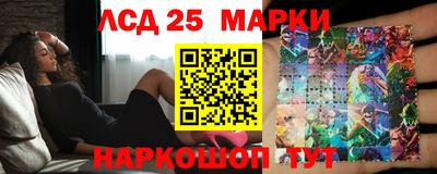 спиды Кингисепп