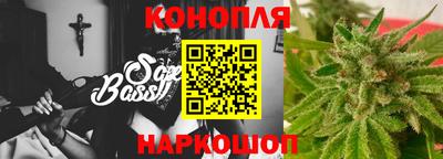 спиды Кингисепп