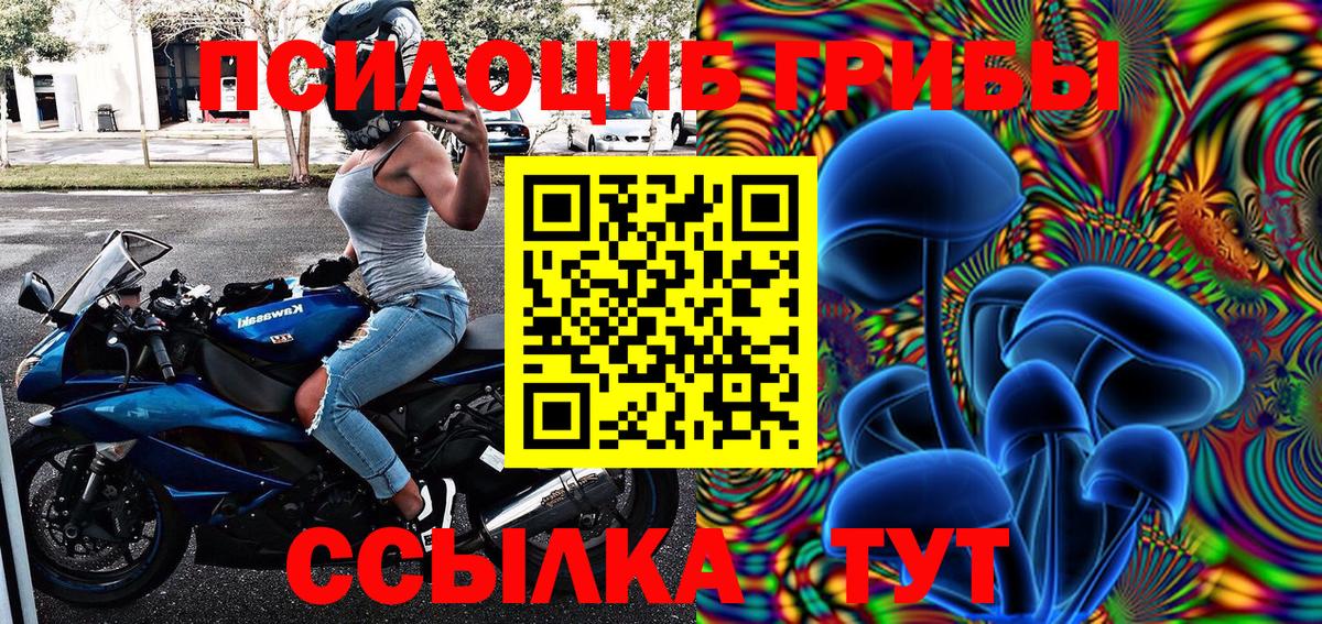 Галлюциногенные грибы мицелий Кашира